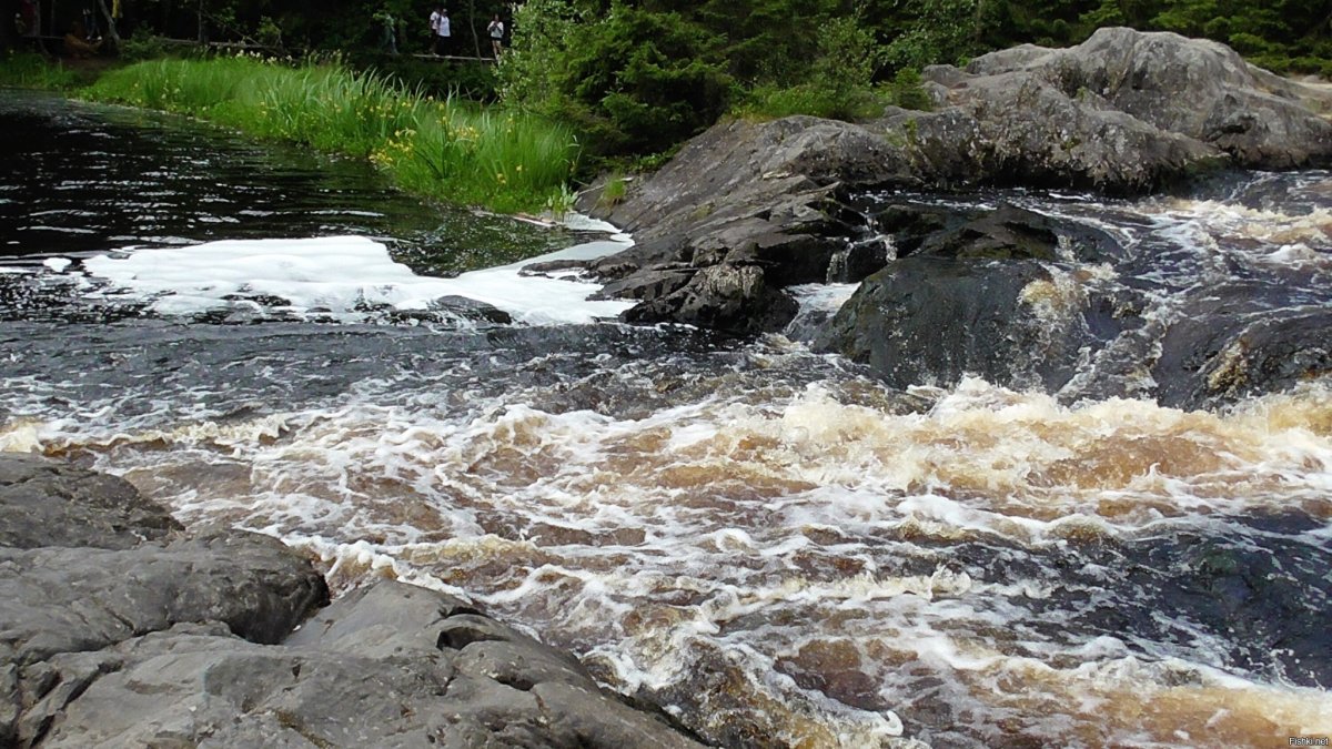 Река с порогами и водопадами в Карелии