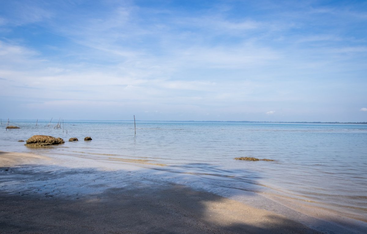 Белое море