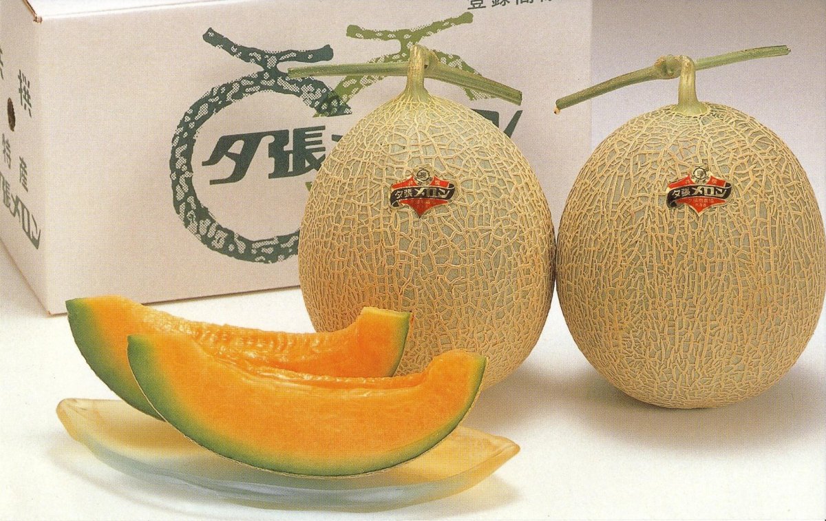 Королевская дыня Юбари