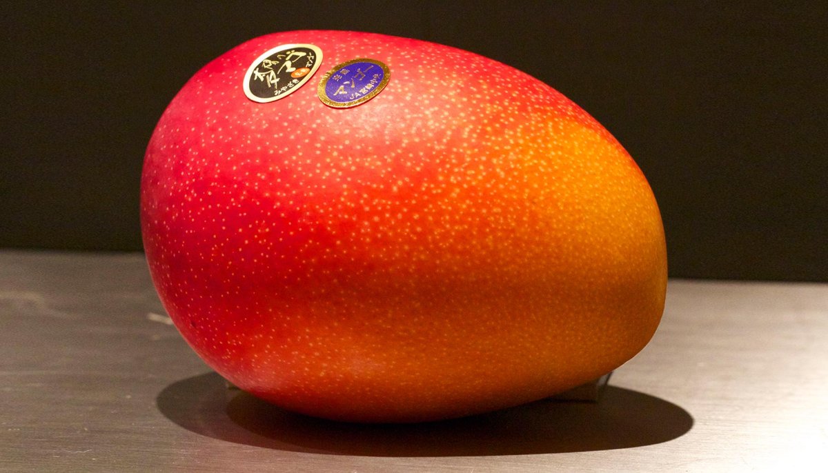 Sun Fruit манго