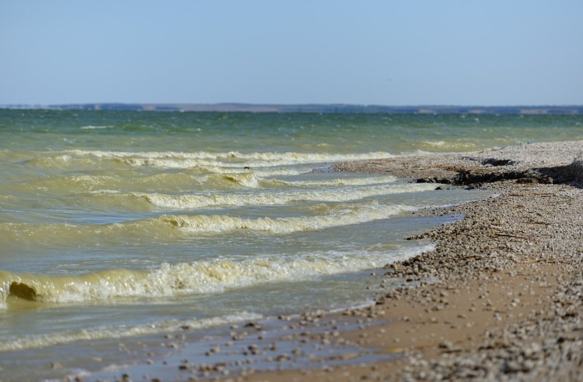 Берег Цимлянского водохранилища