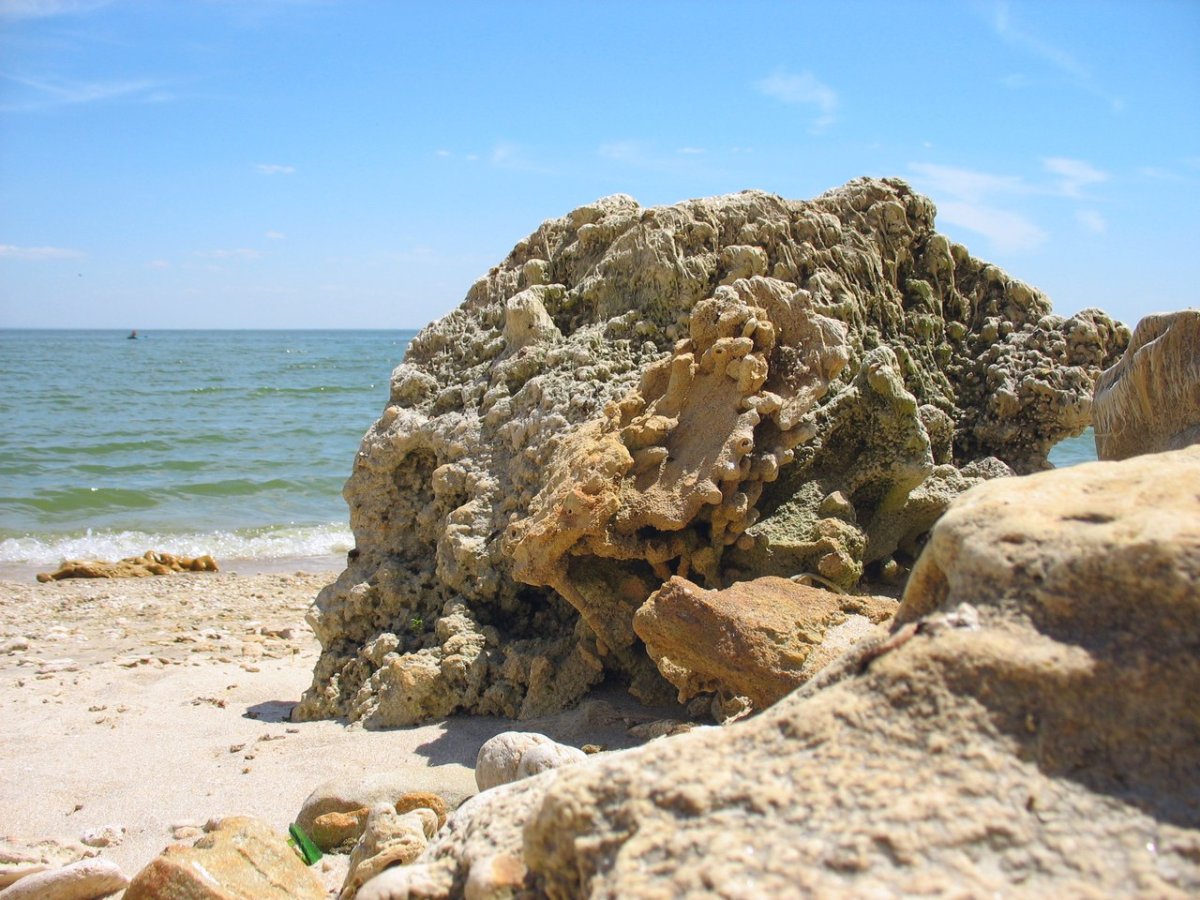 Саркел Цимлянское море