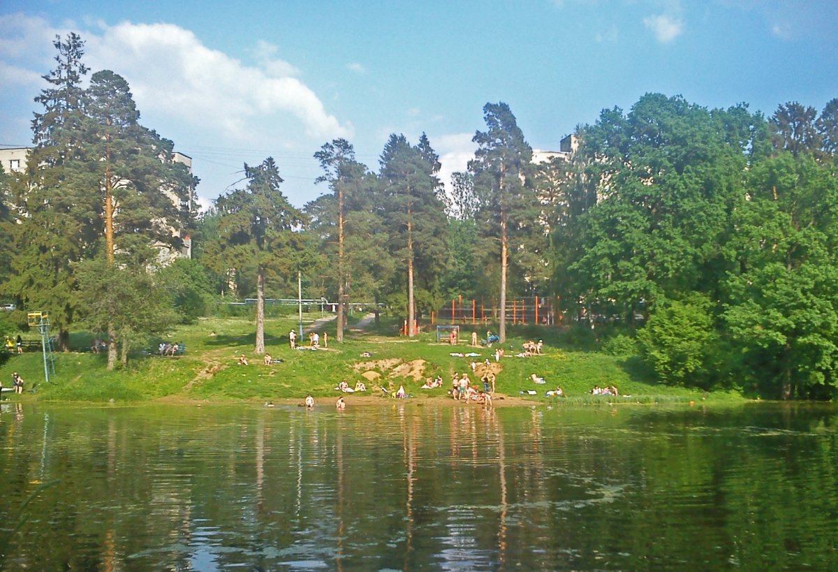 Власиха Одинцово озеро