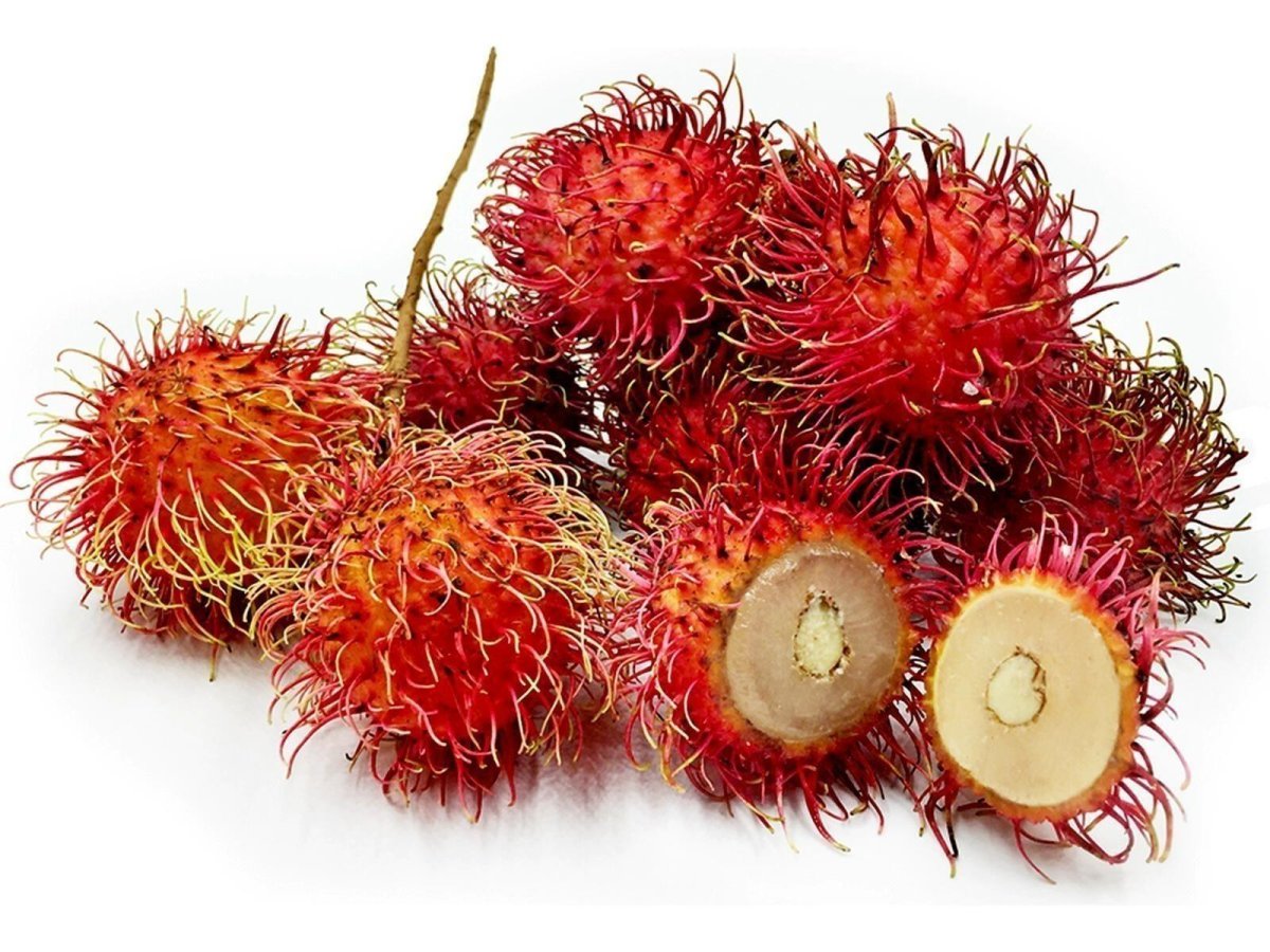 Nephelium lappaceum