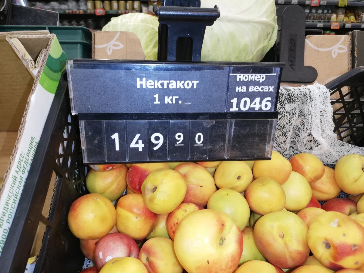 Нектакот