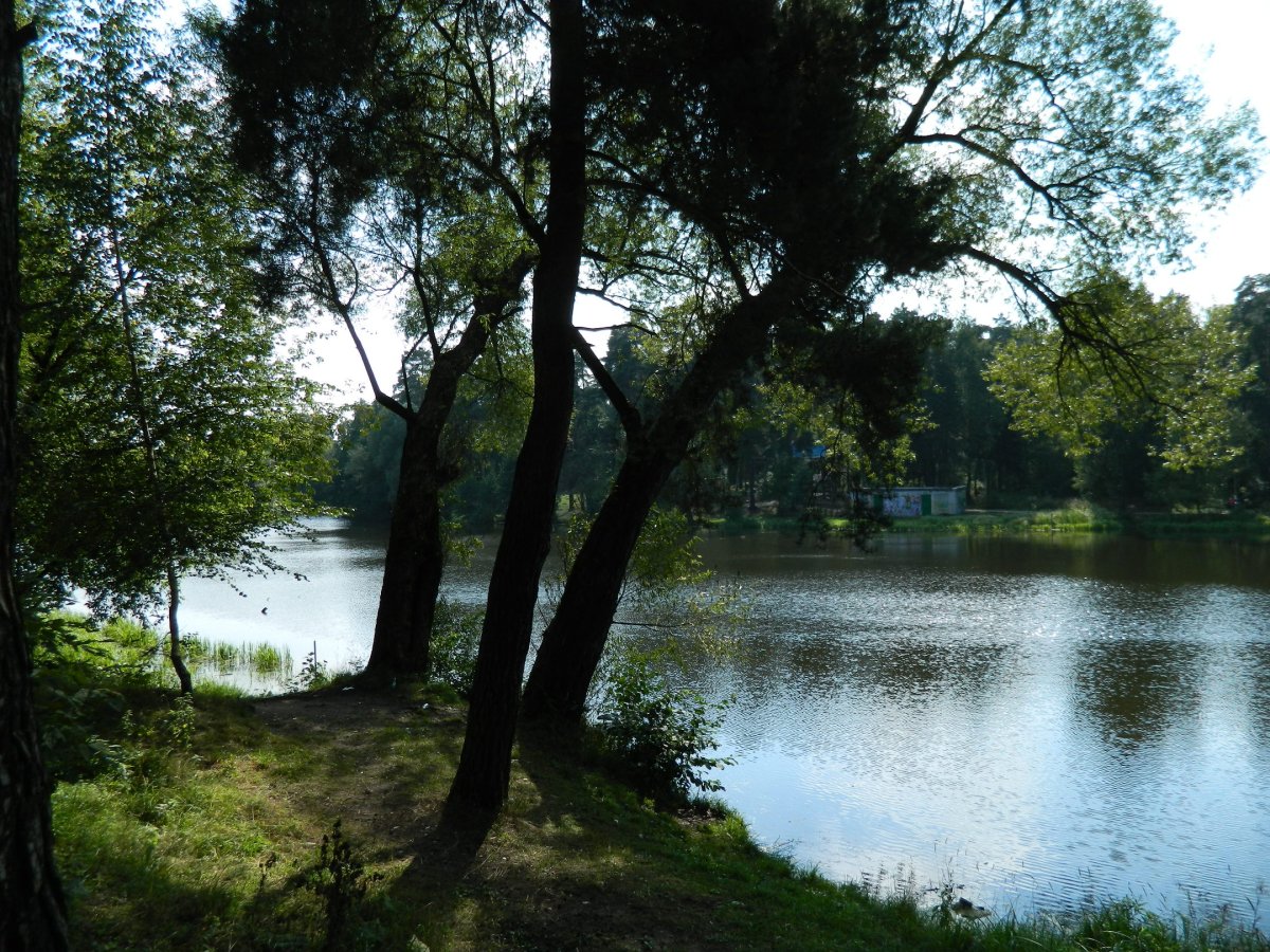 Озеро в Кратово Раменский район
