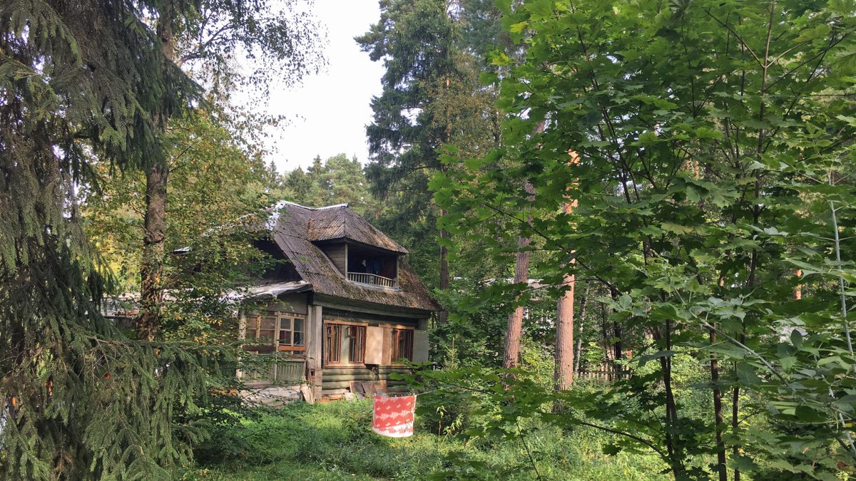 Кратово, улица Сергея Эйзенштейна