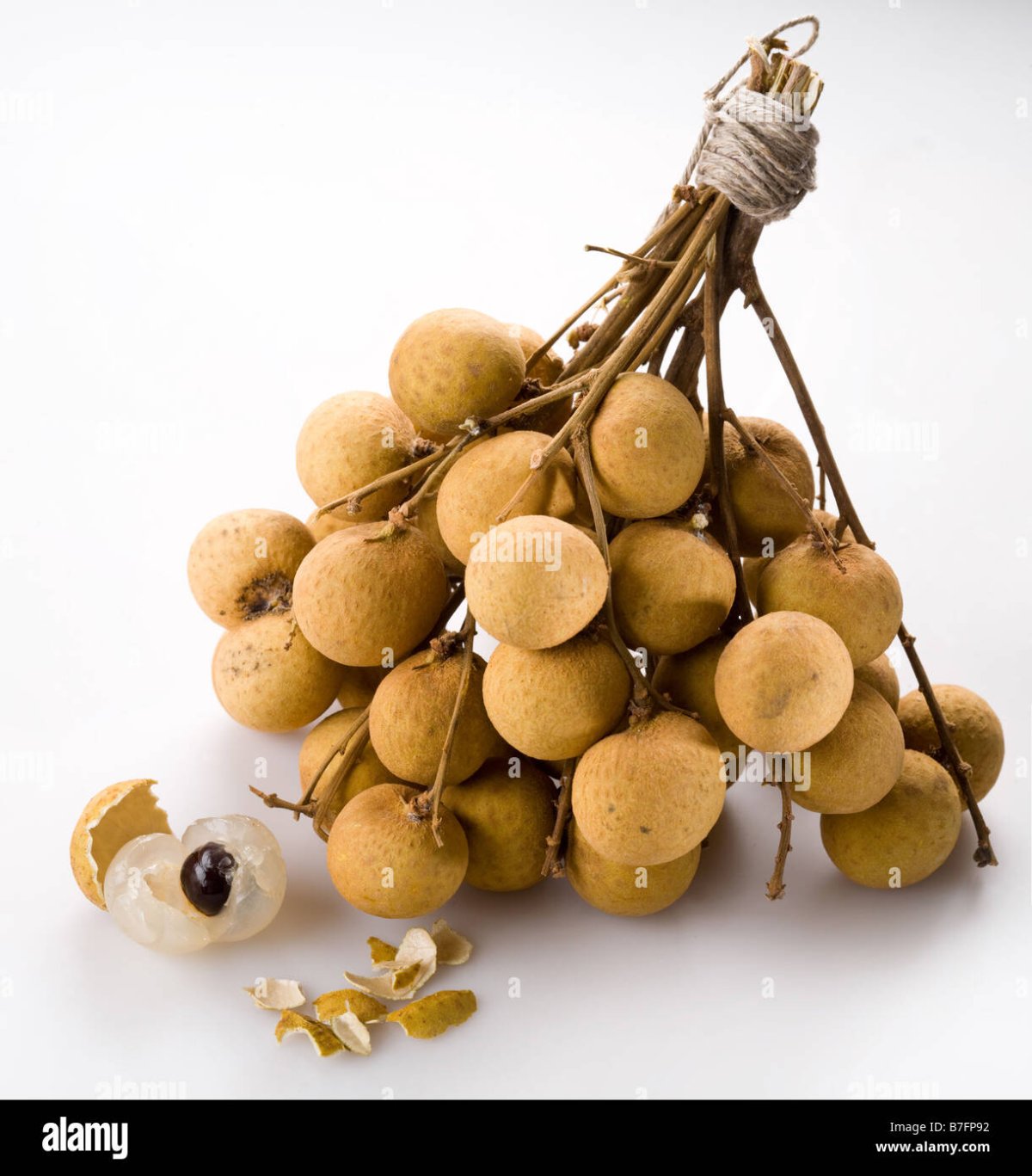 Лонган artfruit