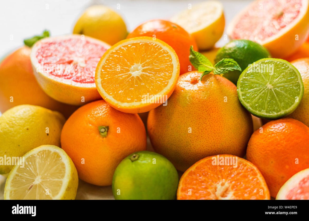Orange Lemon Lime Grapefruit