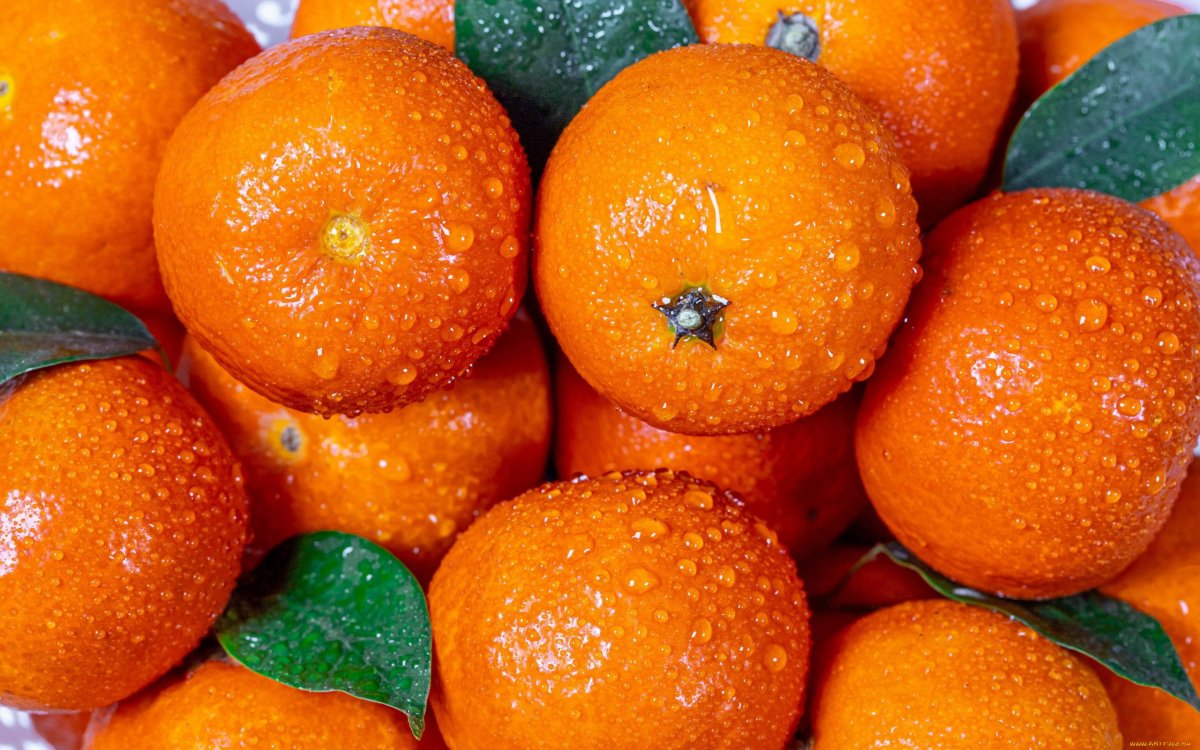Tangerine Танжерин