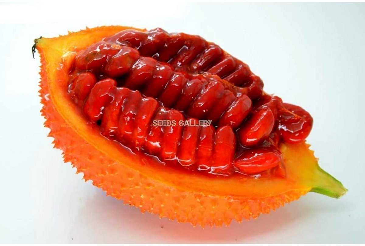 Момордика cochinchinensis