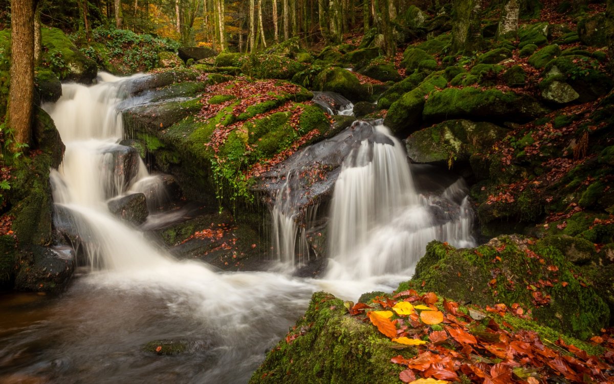 Осень лес водопад