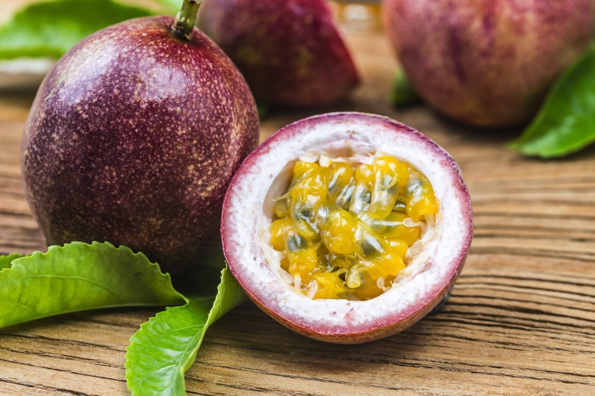 Маракуйя Северная