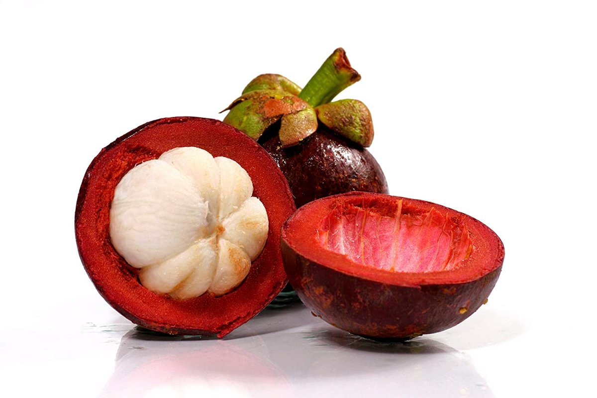 Гарциния мангустин 1 Garcinia_mangostana
