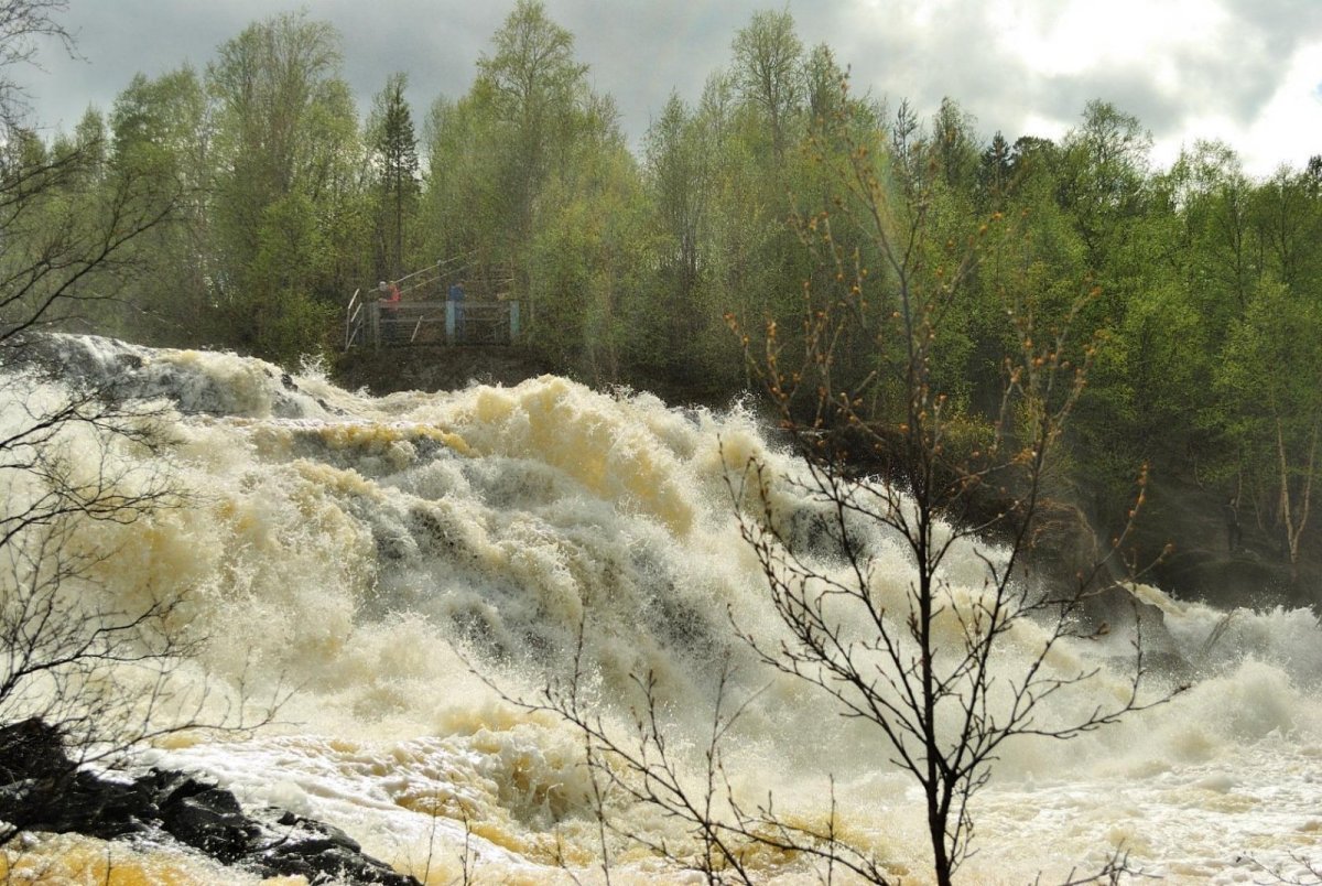 Водопад Шуонийоки никель