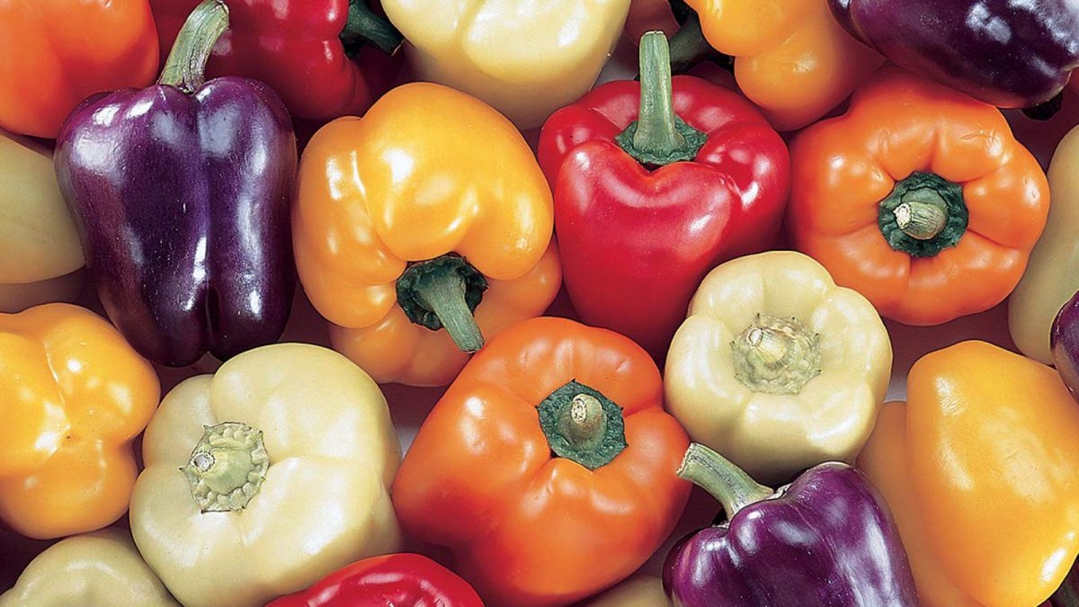Colorful Bell Pepper