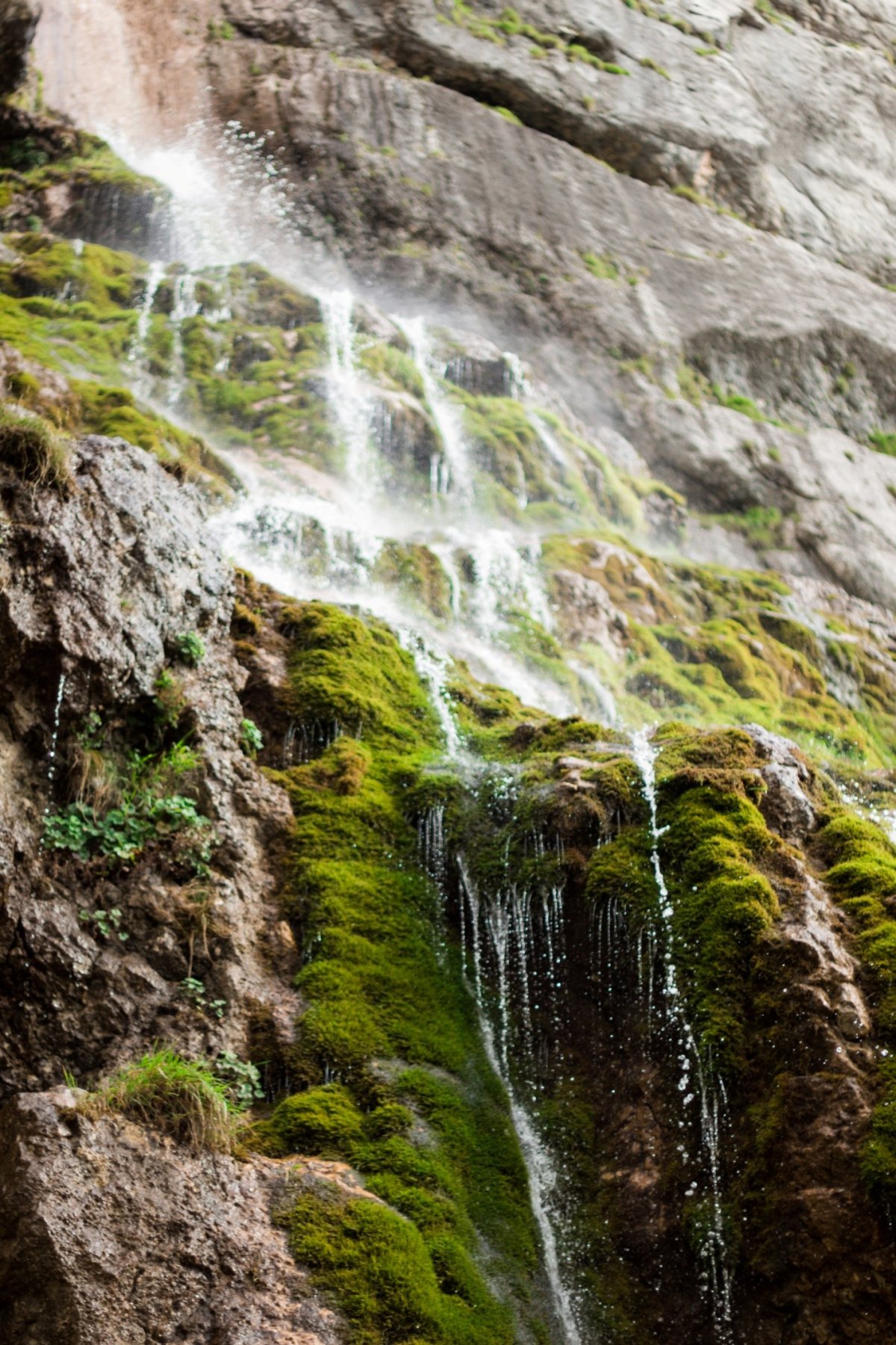 Самшитовые водопады гора Фишт