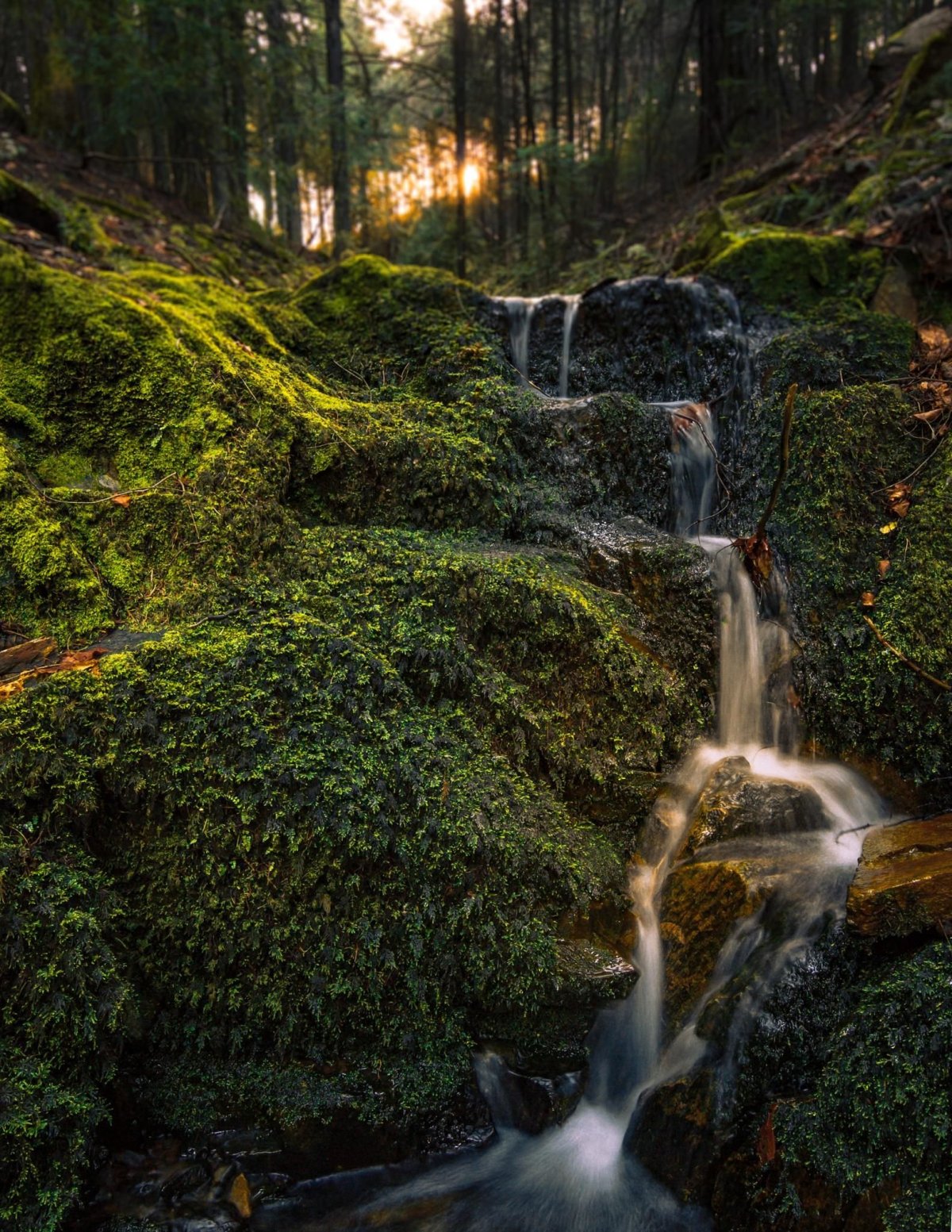 Водопад в лесу