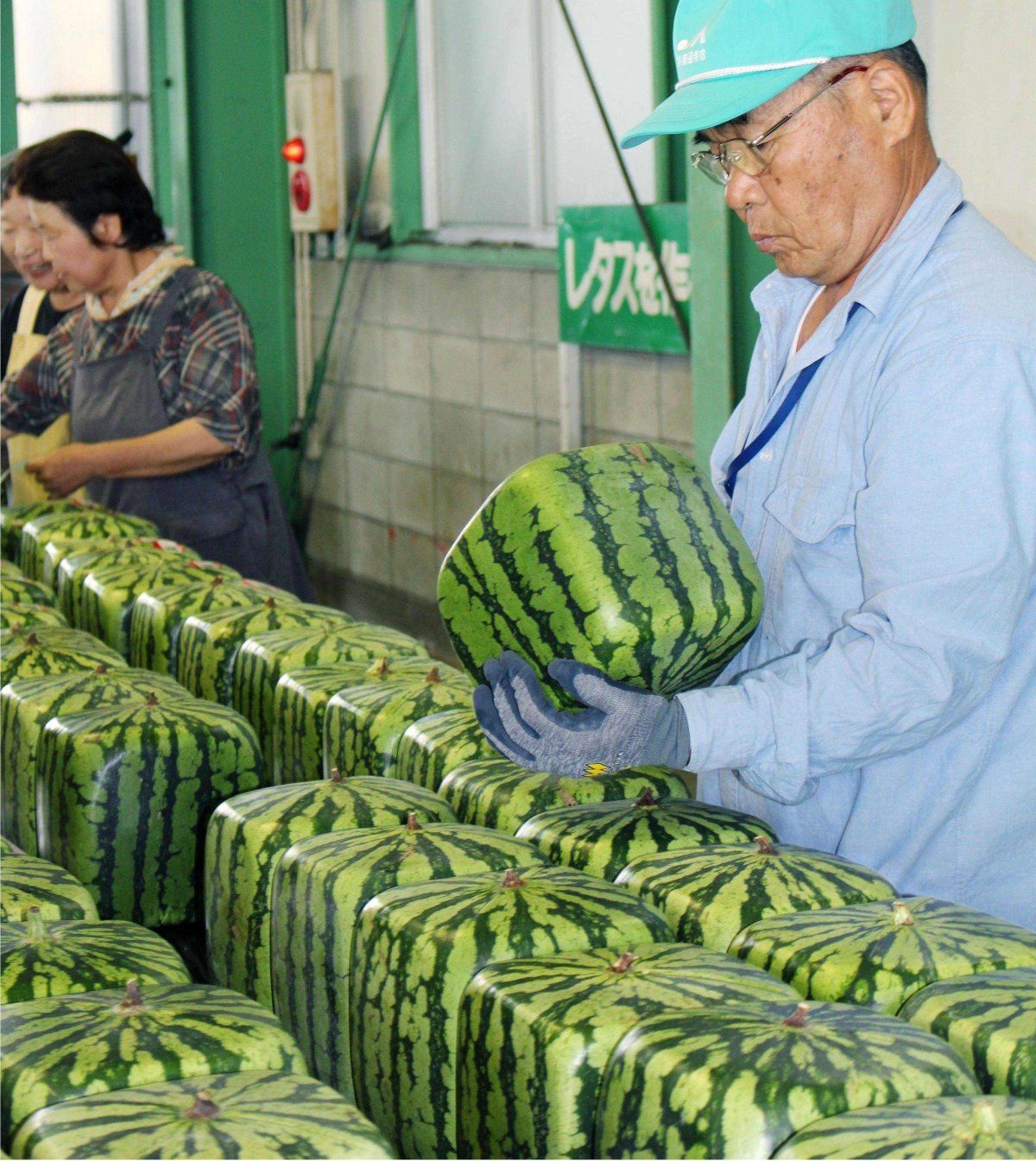 Квадратный Арбуз