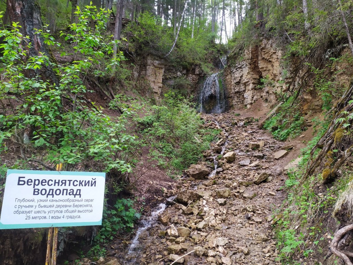 Заповедник Пижемский в Кировской области