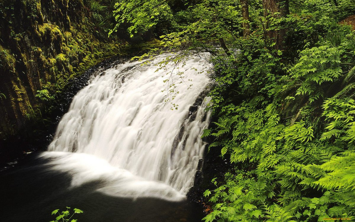 Nature Waterfall 360
