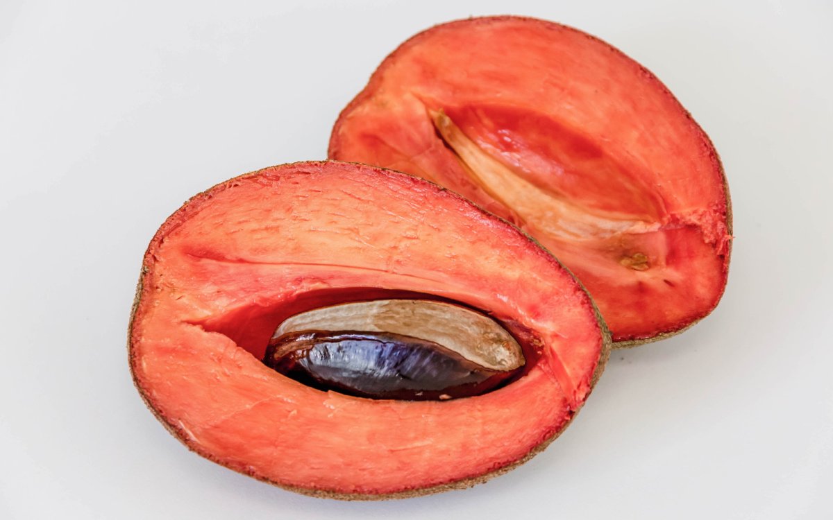 Wabi Sabi Mamey Sapote