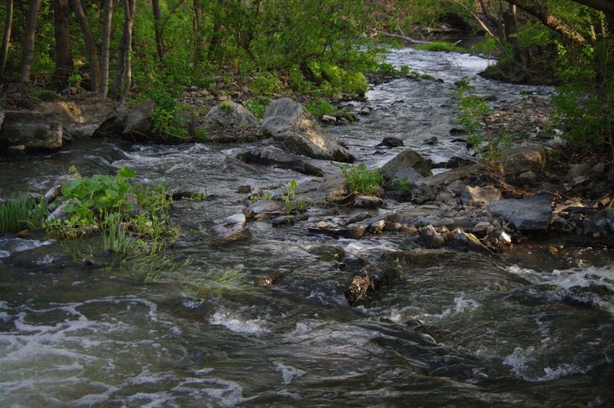 Чардымские водопады Саратов