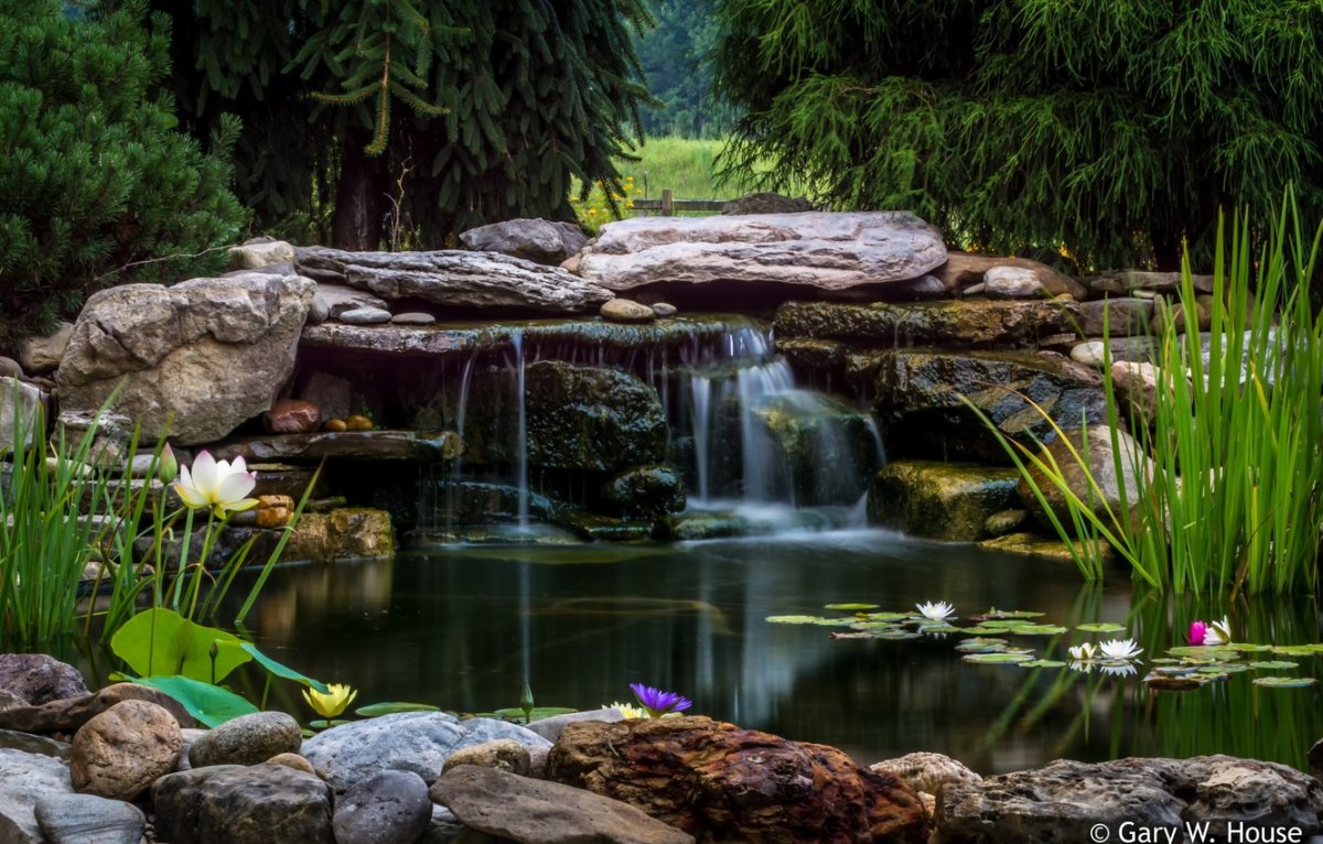 Водопад кувшинки