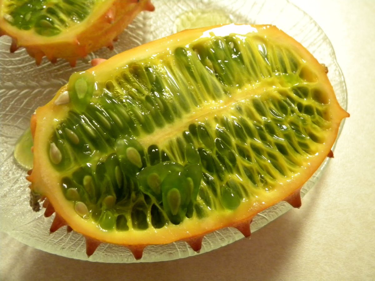 Дыня кивано (Cucumis metuliferus)