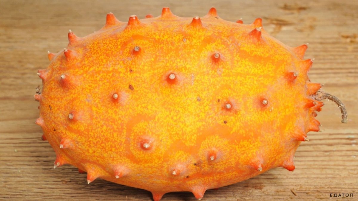 Cucumis metuliferus