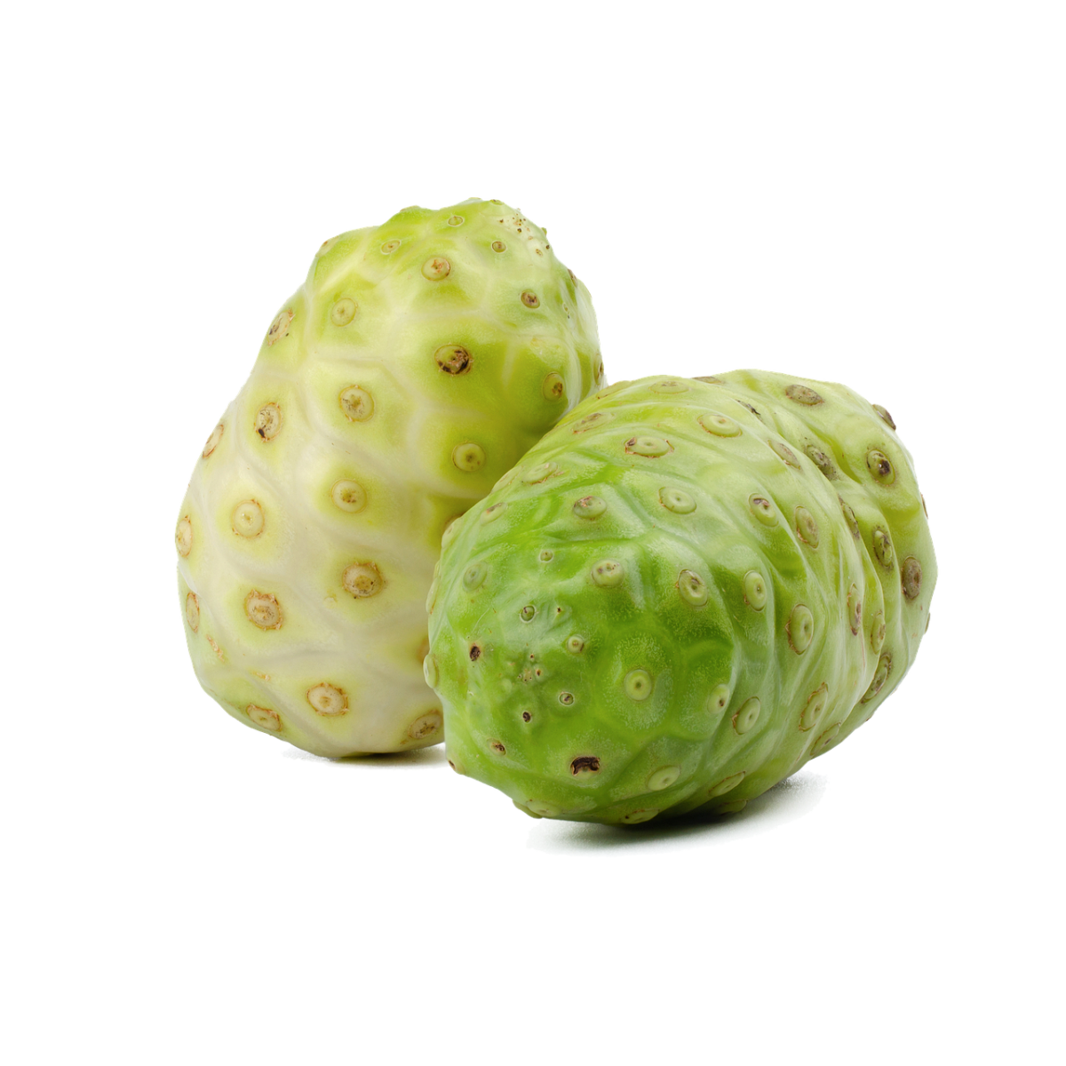 Нони растение