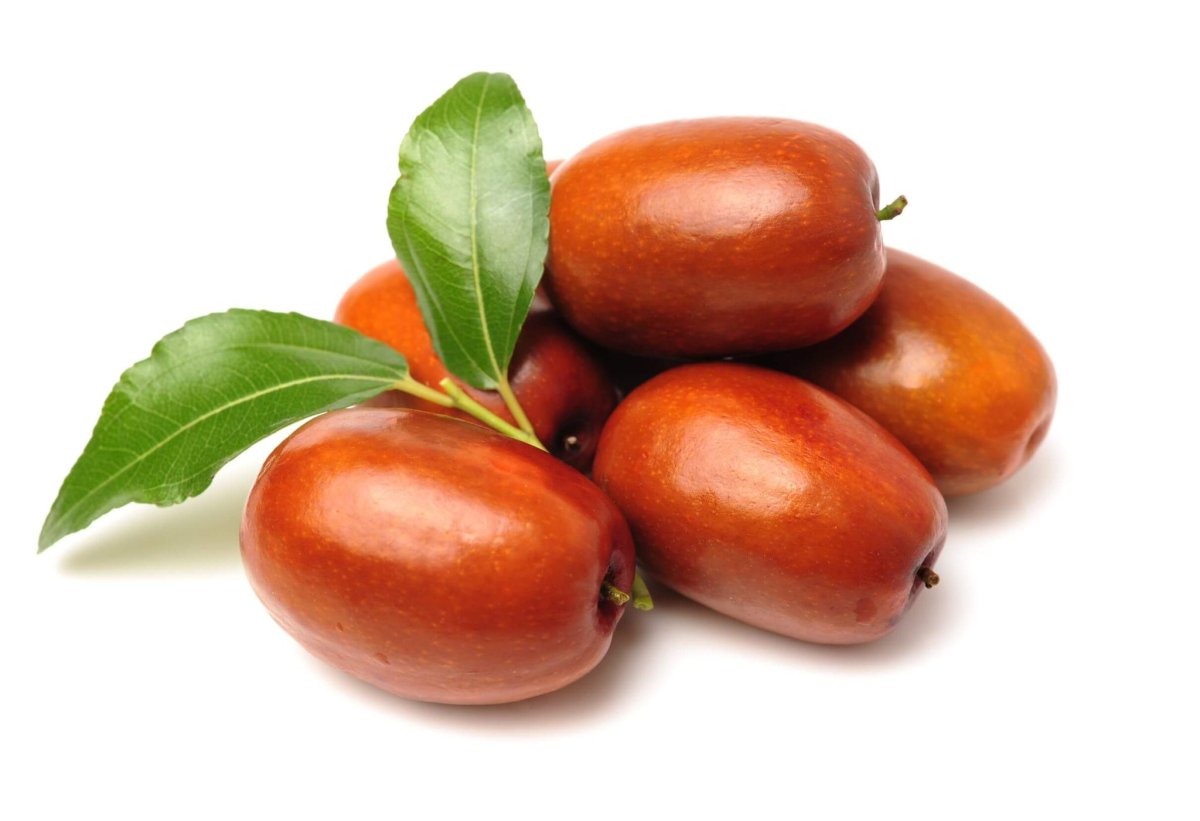 Jujube Fruit