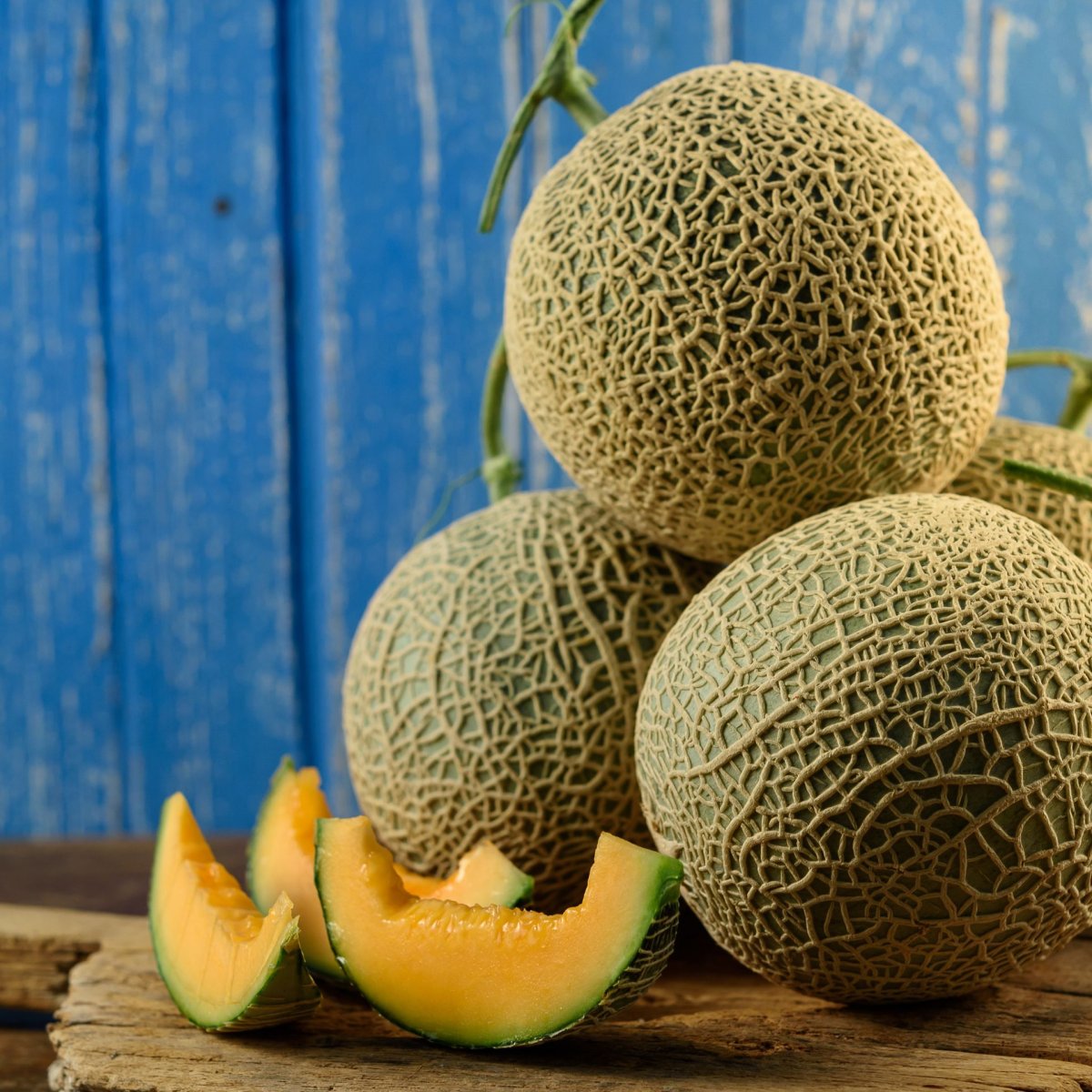Дыня Цампа
