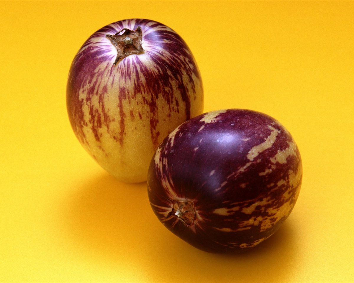 Pepino 03