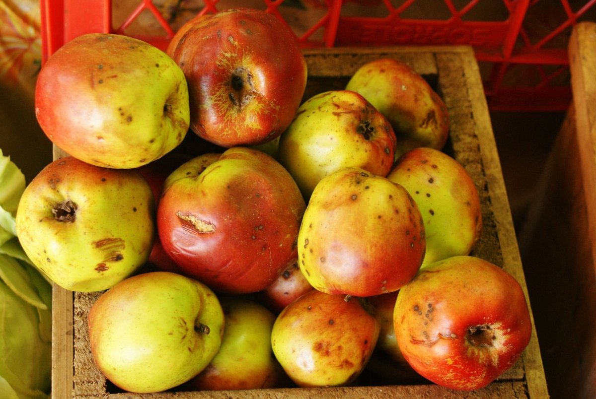 A lot of Apples
