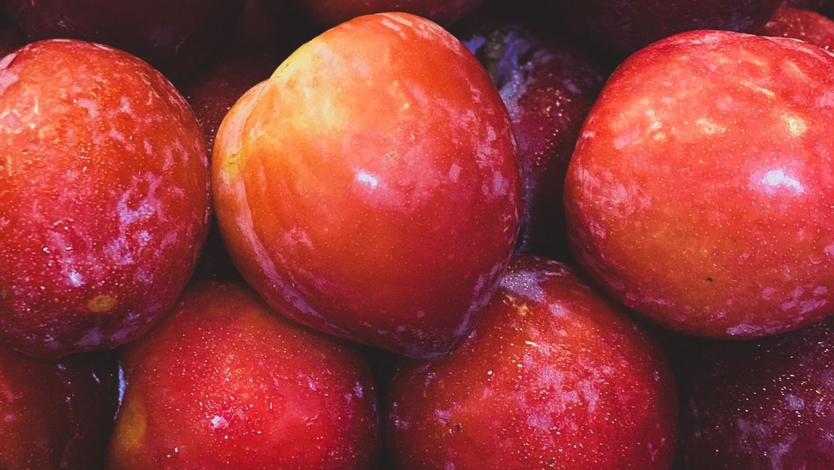Wet Apple