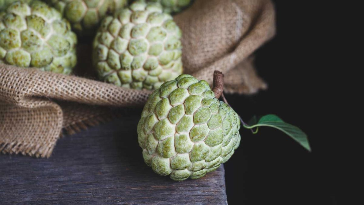 Cherimoya,Custard Apple
