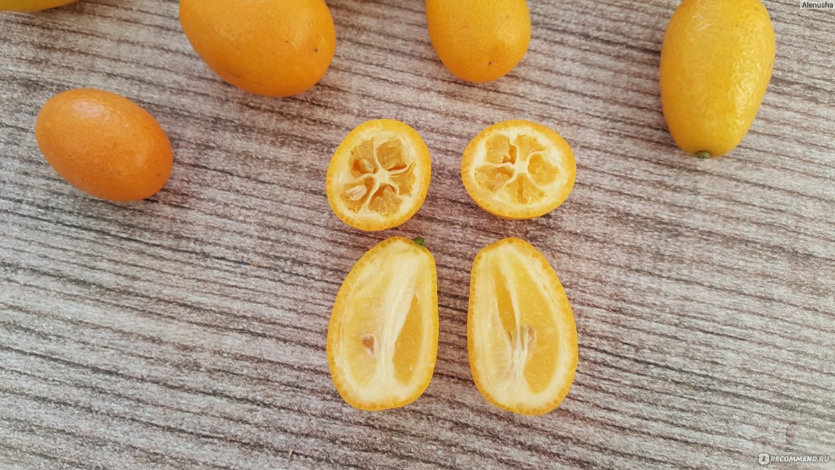 Кумкват - Kumquat d25 h90