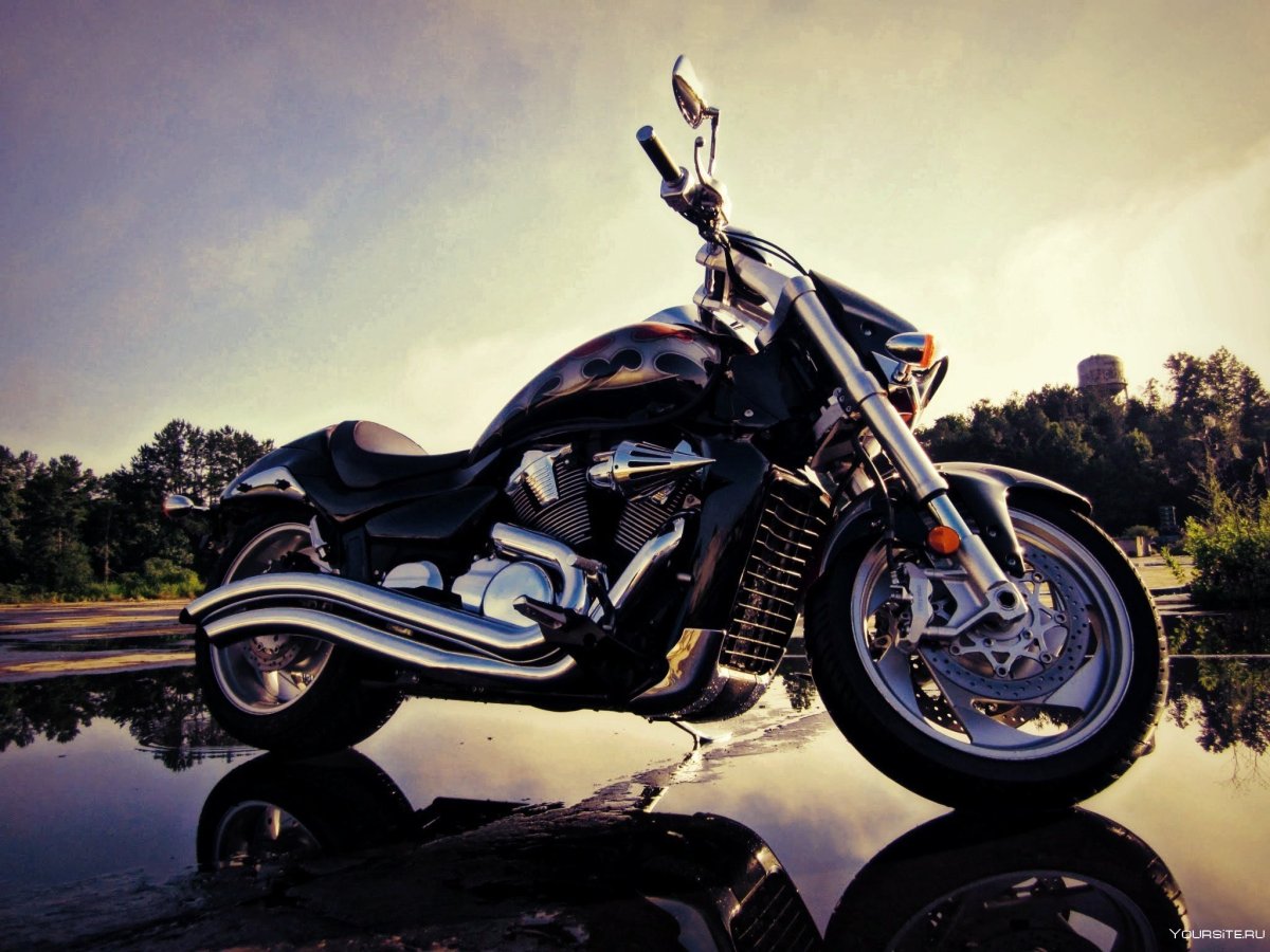 Suzuki Bikes Intruder