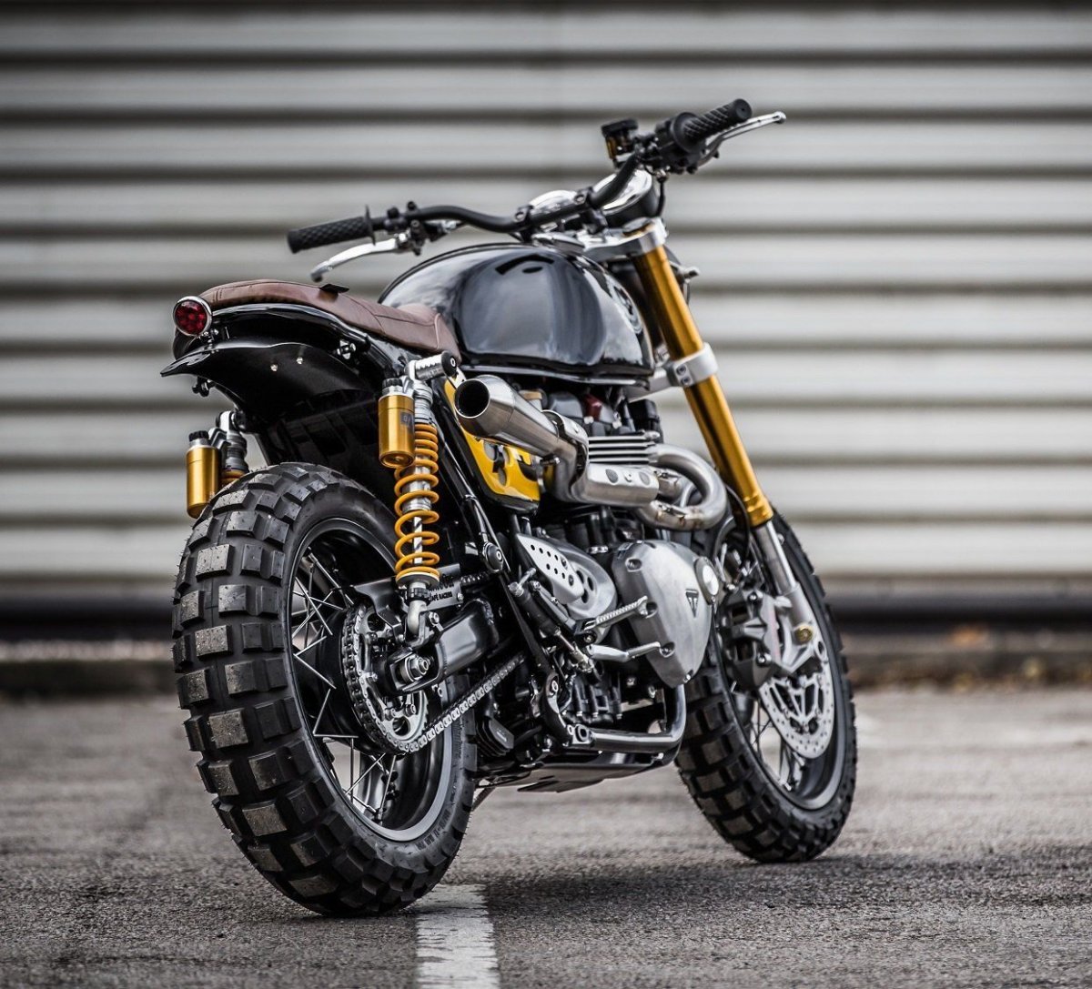 Triumph Thruxton Scrambler