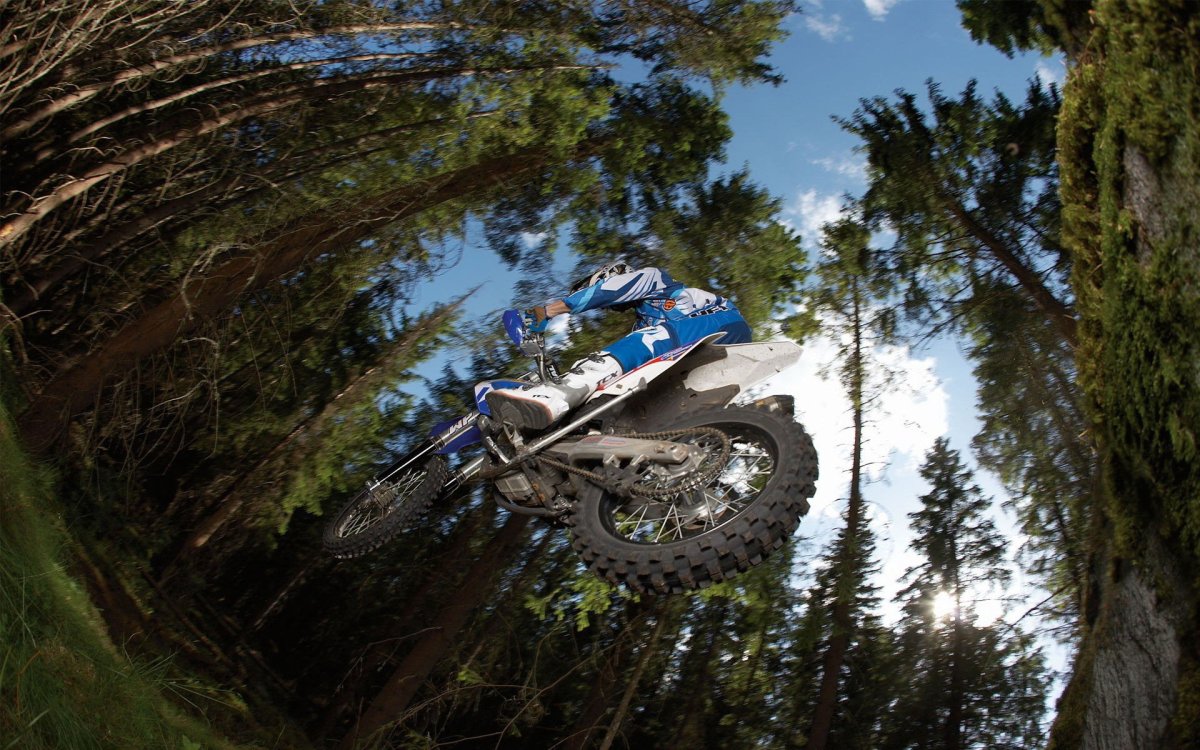 BSE MX 125