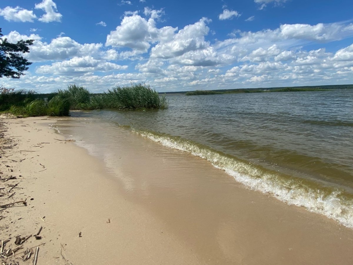 Кершинское водохранилище Тамбовской области пляж