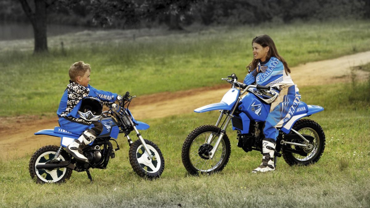 Yamaha pw80