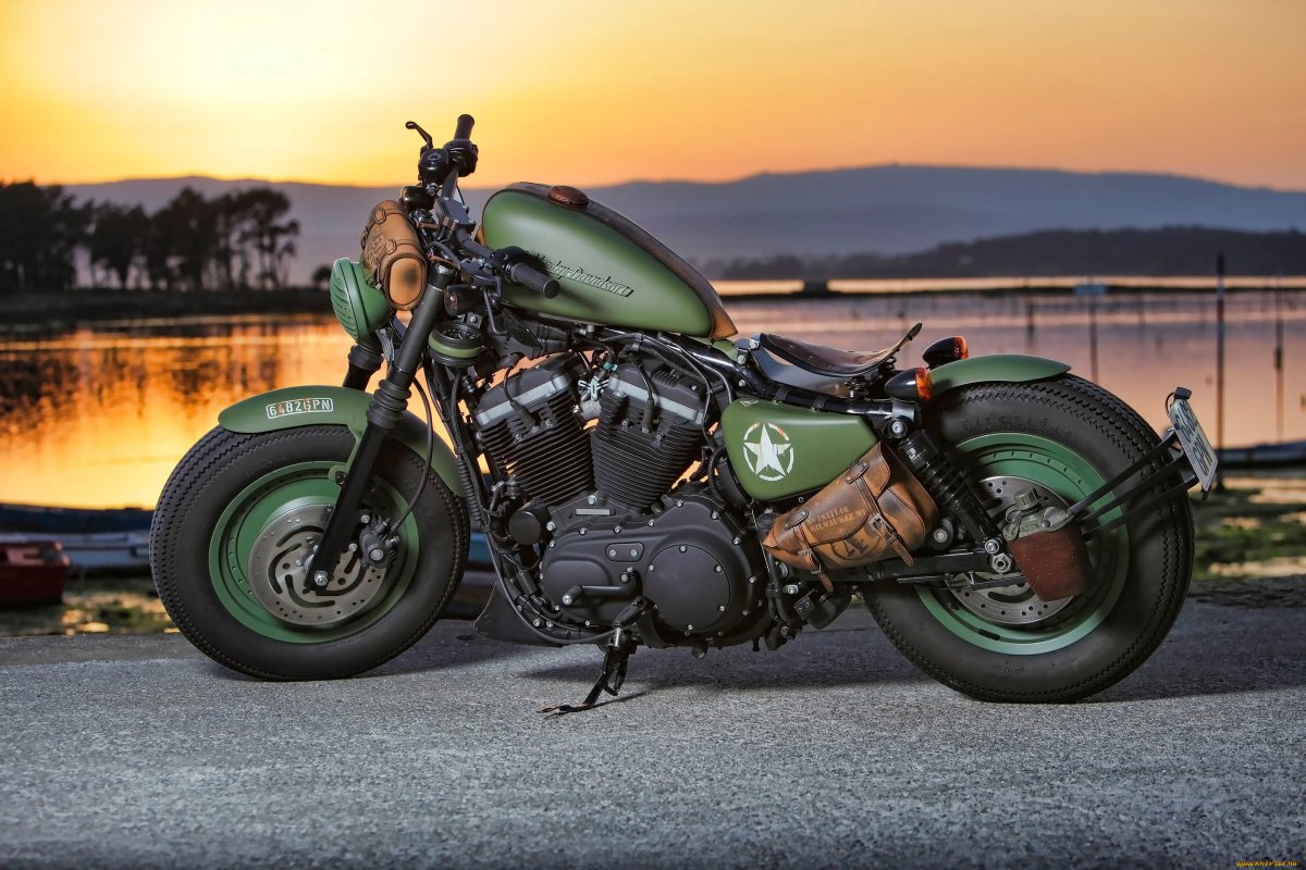 Harley Davidson Sportster 883 Iron