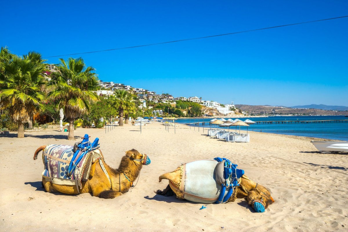 Camel Beach Бодрум
