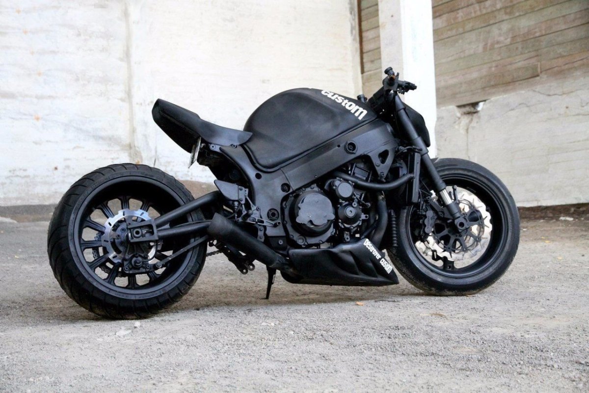Suzuki Hayabusa Street Fighter
