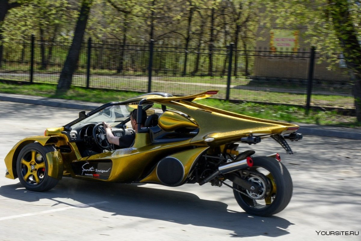 Спортивный трайк t-Rex