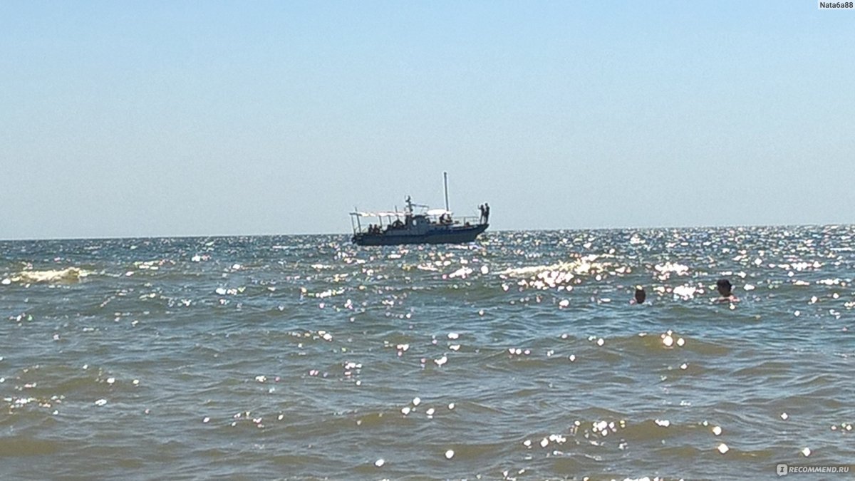 Белоскрайка Азовское море