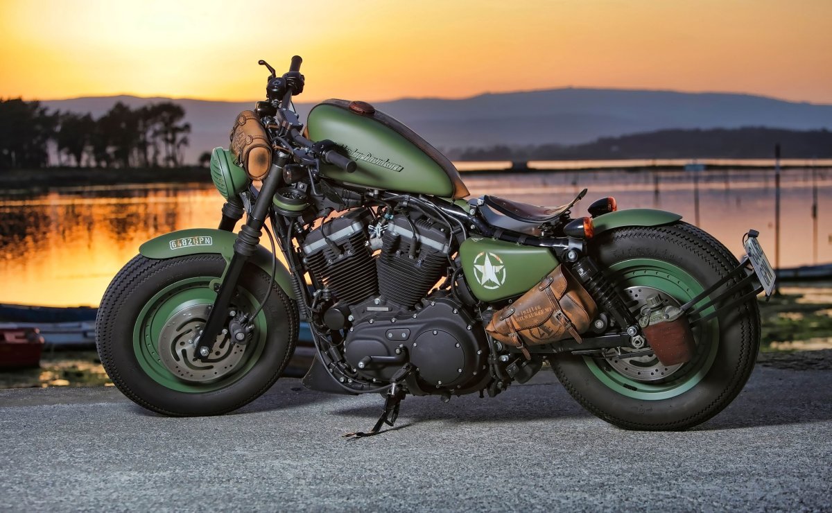 Harley Davidson Sportster 883 Iron