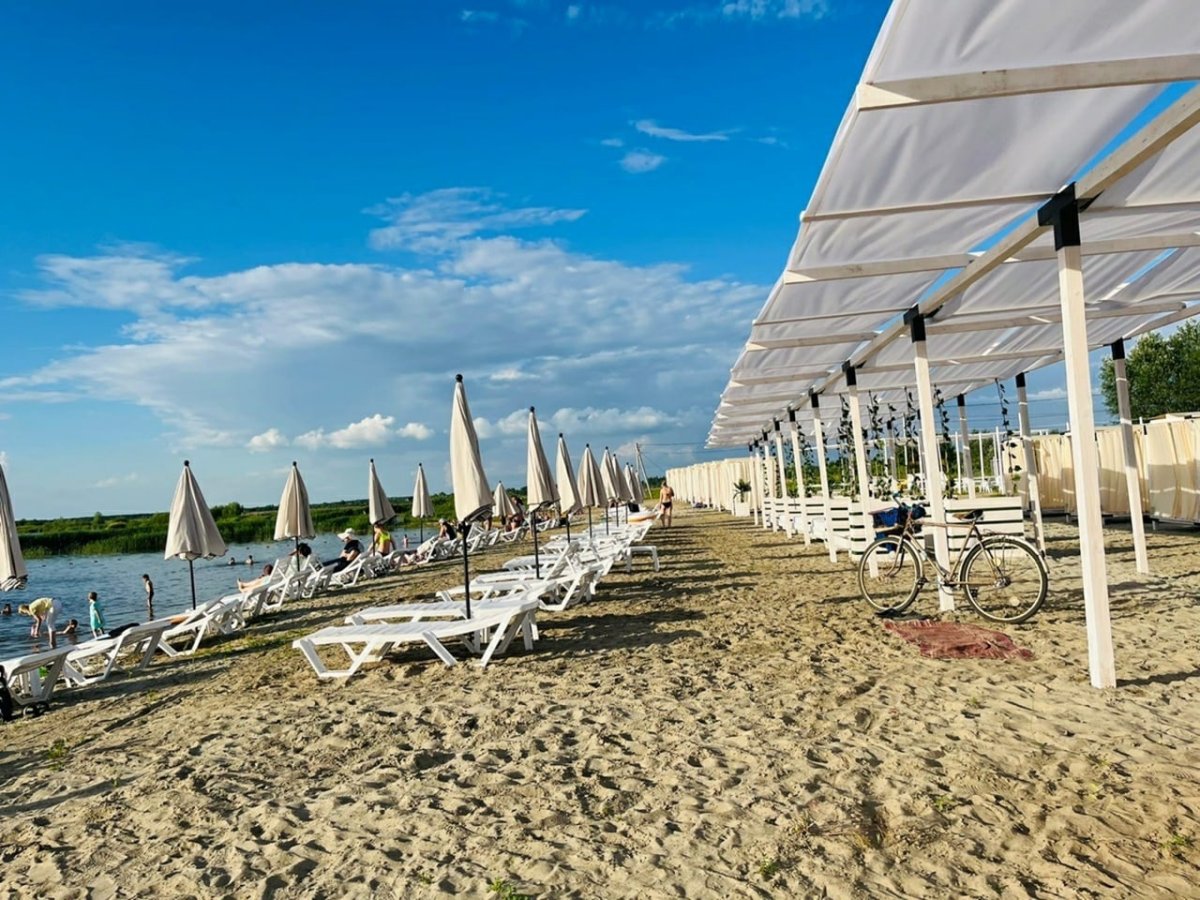 Курское море щетинка